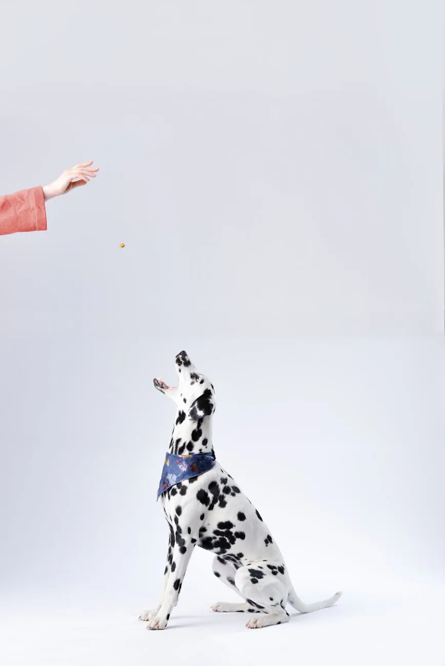 Clicker training et récompenses