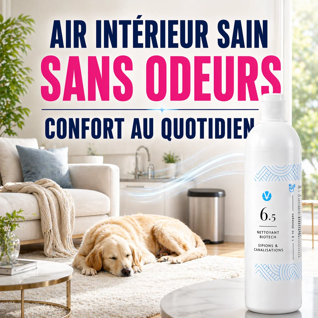Hygiène et animaux de compagnie : le guide expert pour un intérieur sain et sécurisé